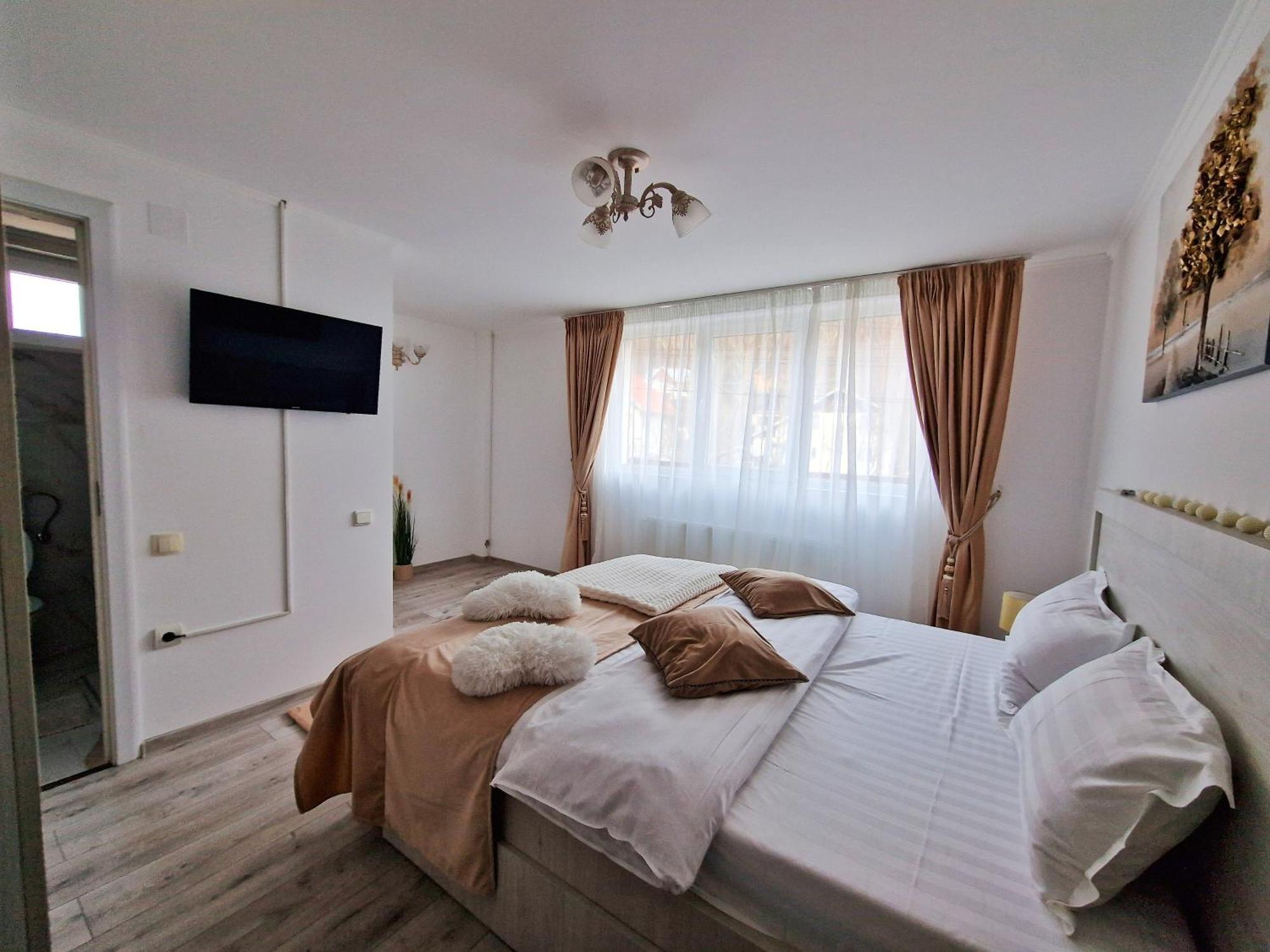 Casa Anitta Holiday home Busteni