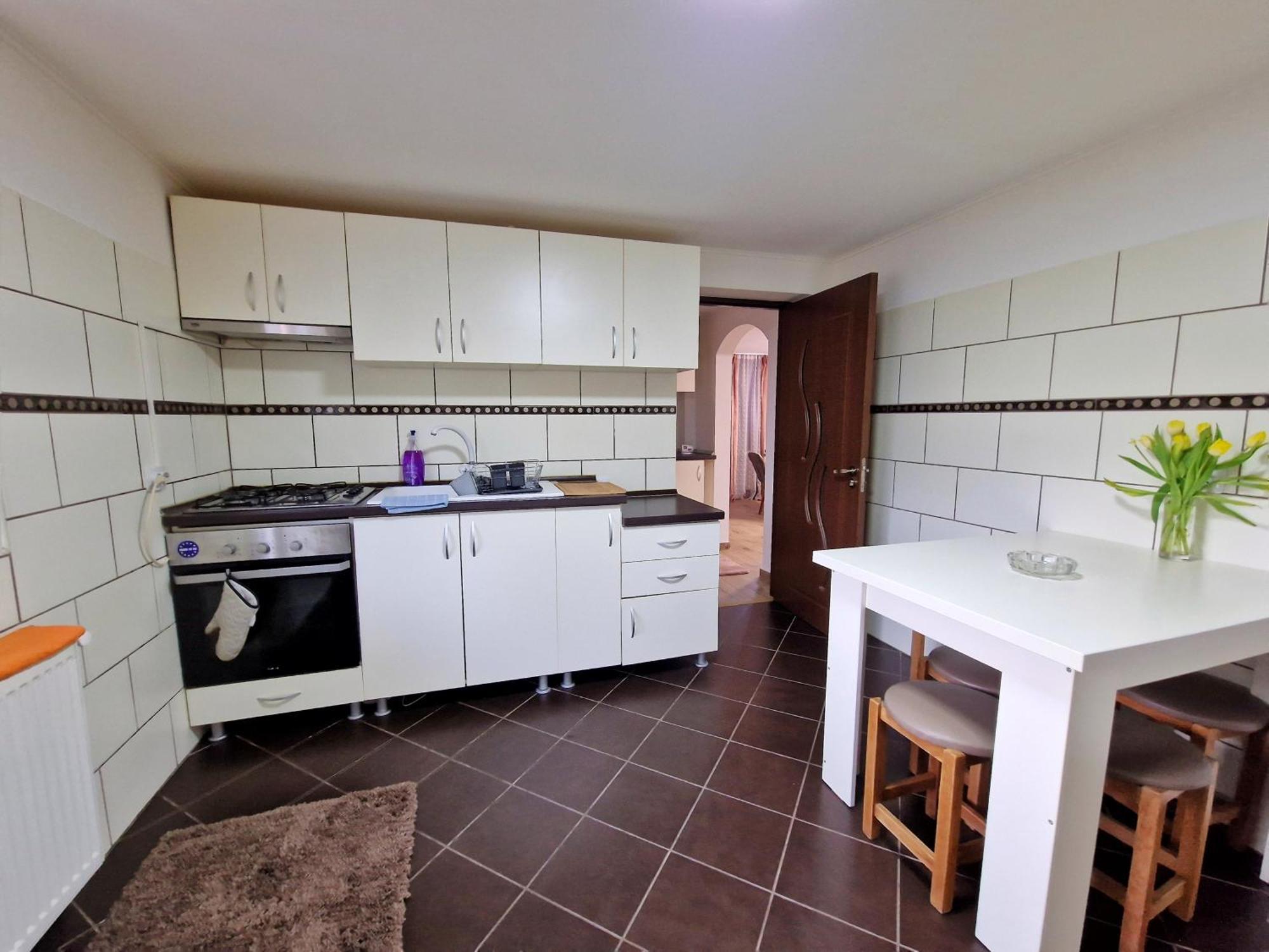 Casa Anitta Holiday home Busteni