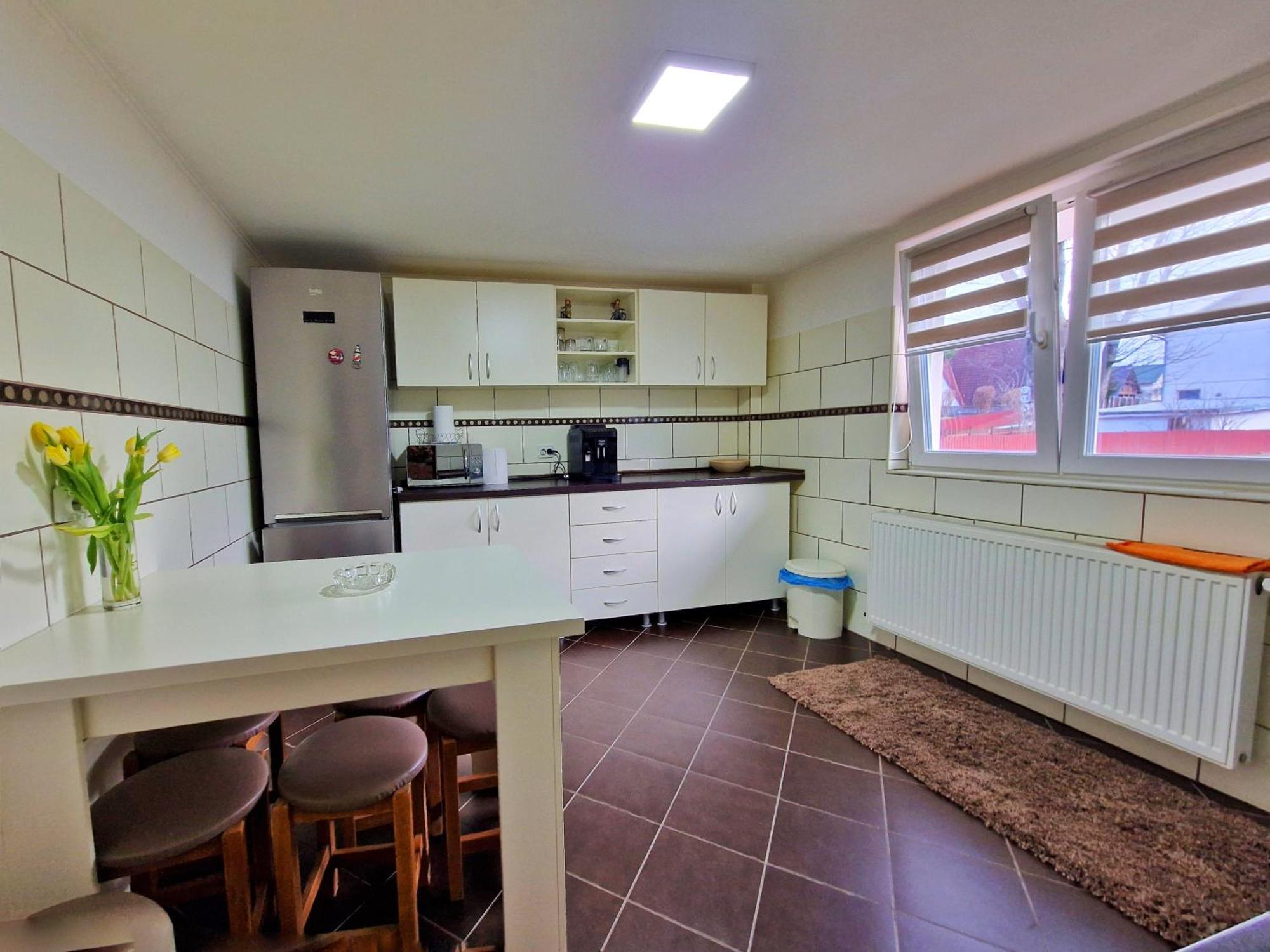 Casa Anitta Holiday home Busteni