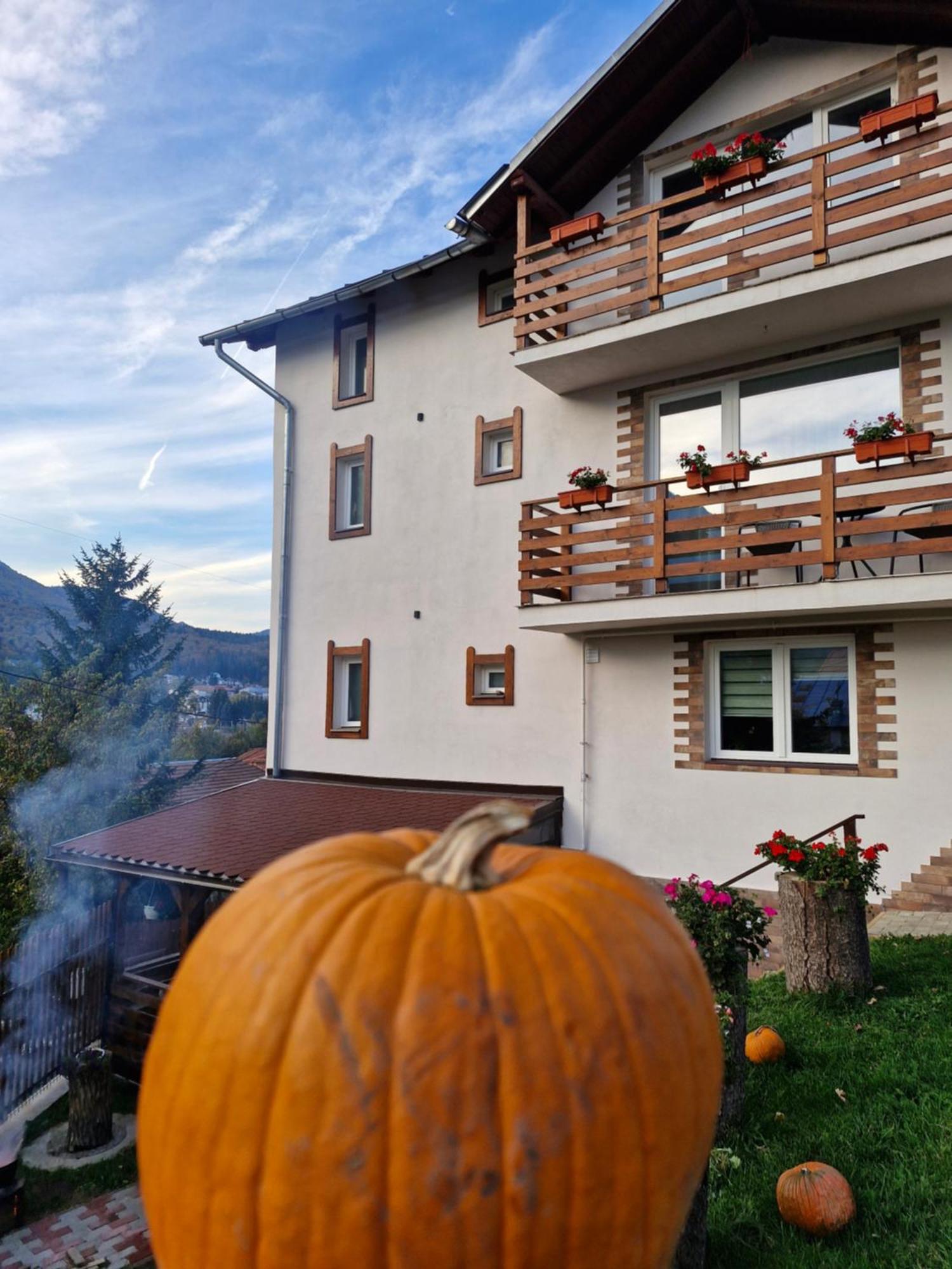 Casa Anitta Holiday home